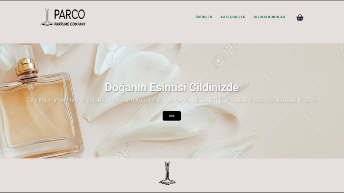 hayalinizdeki web sitesini tasarlayabilirim