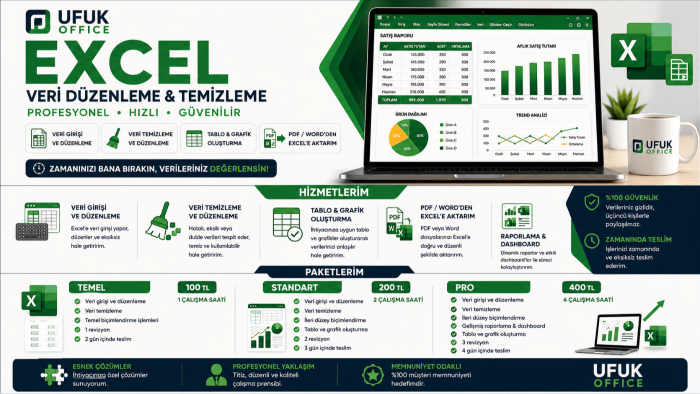 Excel veri girişi, düzenleme ve temizleme yaparım