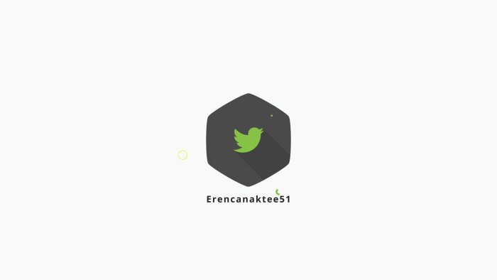 Markalarınıza özel logo animasyonu yapabilirim