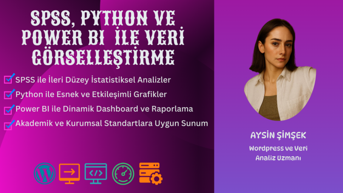  Power BI, SPSS ve Python ile verileri görselleştiririm