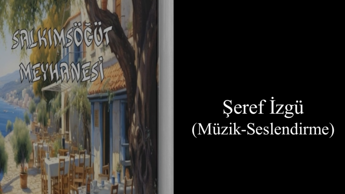 çalışmalarınıza seslendirme-müzik yaparım