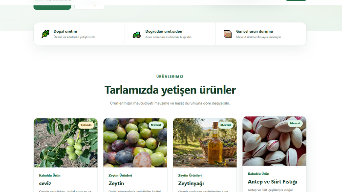 isteğinize göre web sitesi yaparım