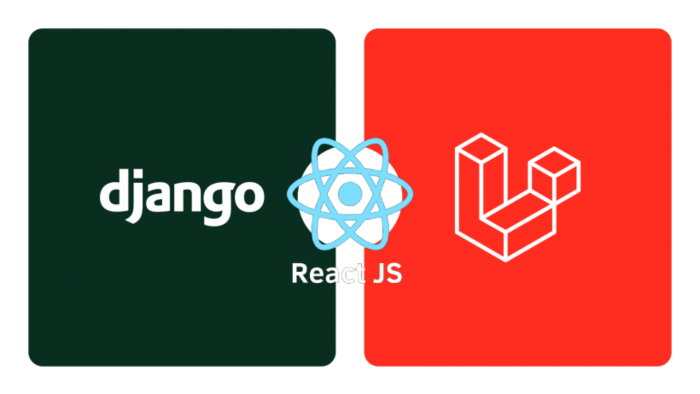Laravel Django ve React ile size uygulama geliştirebilirim