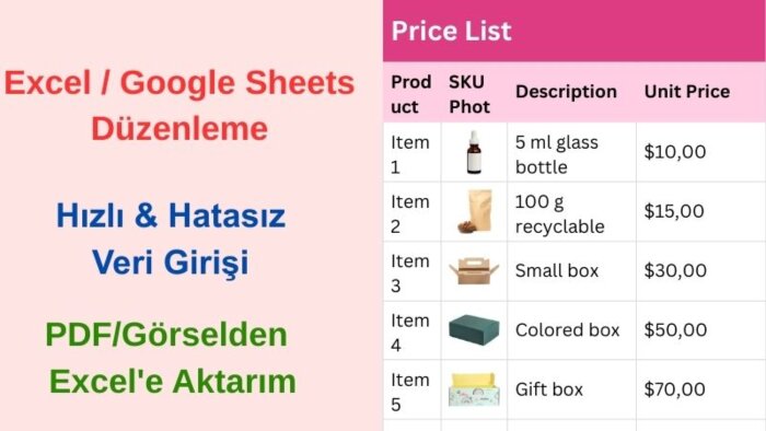 veri girişi yaparım