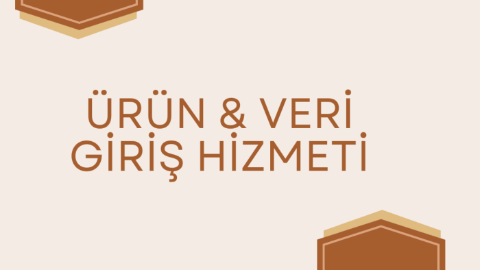 istediğiniz pazaryerinde ürün girişlerinizi yapabilirim