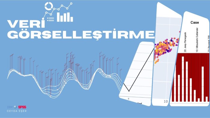 SPSS ile verilerinizi görselleştiririm