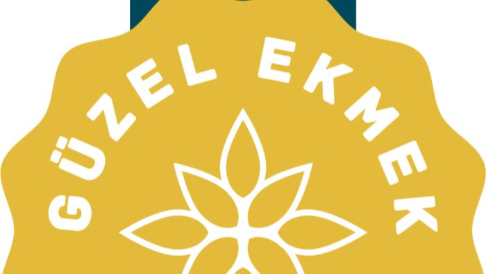 logo tasarımı yaparım