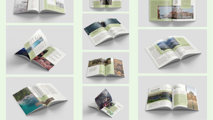 katalog tasarımı yapıyorum