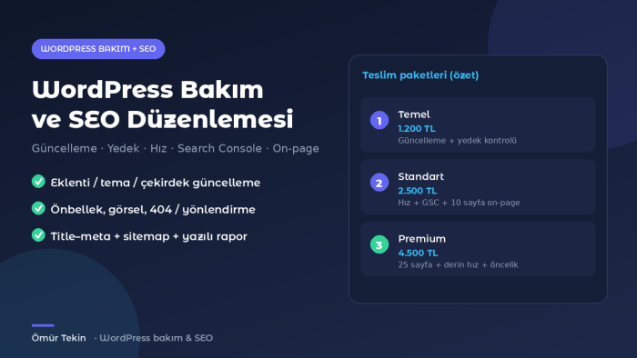 WordPress bakım ve SEO düzenlemesi yaparım