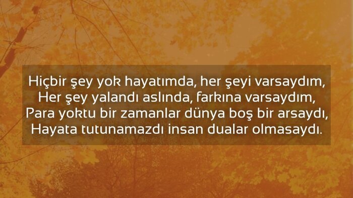 sizin için her konuda anlamlı şiir yazabilirim