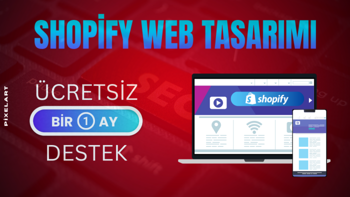 anahtar teslim profesyonel e-ticaret sitesi yapıyorum