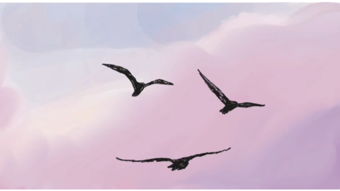 Procreate ile 2D animasyonlar yapabilirim