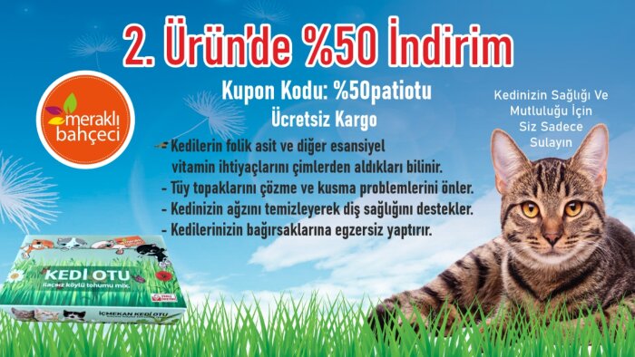 sosyal medya görsellerinize estetikle dikkat çekebilirim