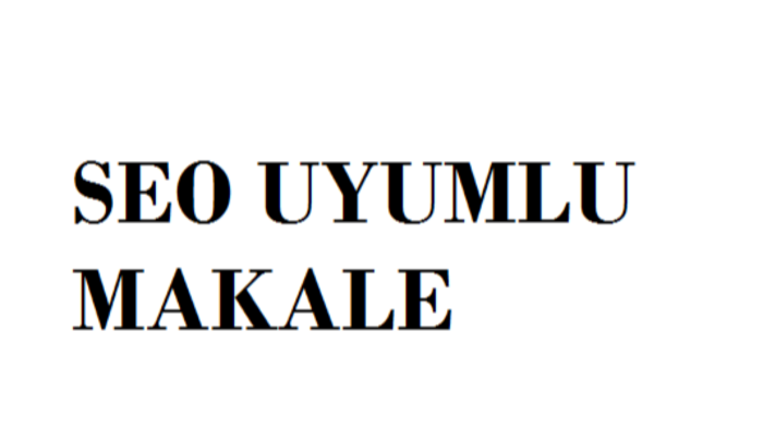 özgün seo uyumlu makale yazabilirim