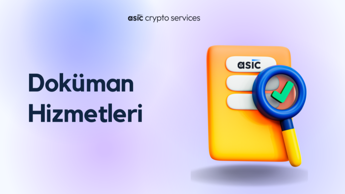 kripto proje dokümanları yaparım