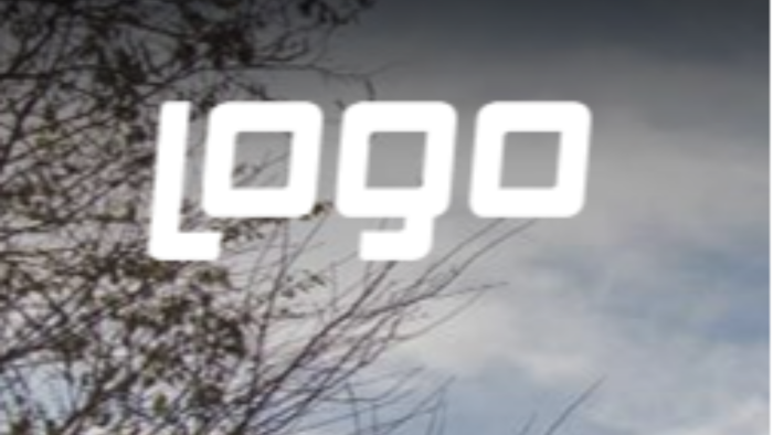 logo tiger&go3 uygulamalarınızda raporlarınızı yapabilirim