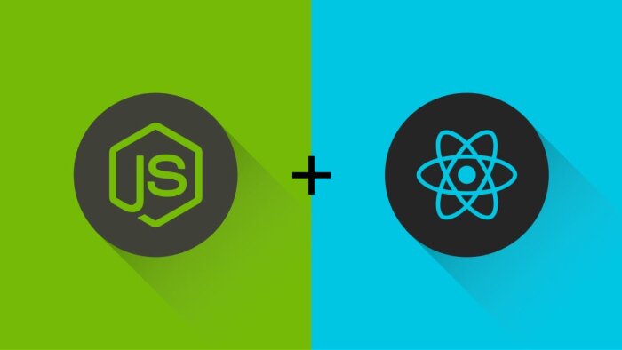React js ve Node js ile web uygulamanızı yapabilirim