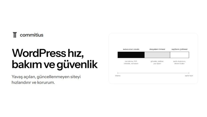 yavaş WordPress sitenizi hızlandırır, güncel ve güvenli tutarım