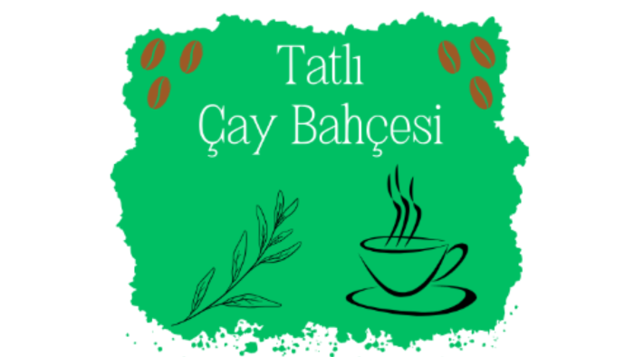 logo tasarımı yapıyorum