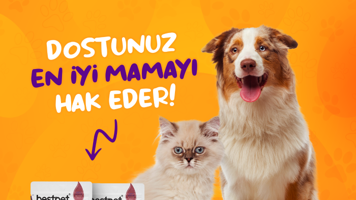 istediğiniz tarzda afişler yaparım