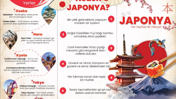 broşür ve katalog tasarımınızı yaparım