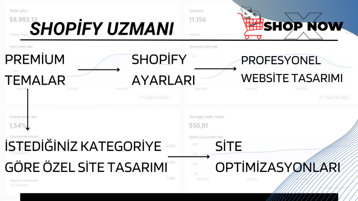 shopify sitenize tema kurarım ve düzenleme yapabilirim