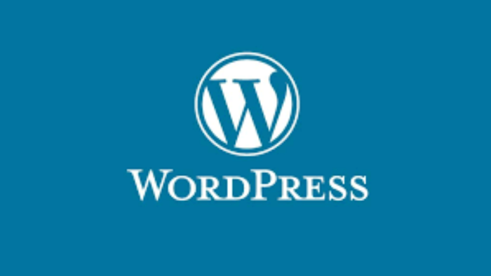 WordPress'te özel bir tema tasarlayıp optimize ediyorum