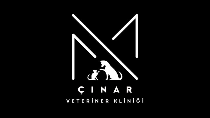 hayallerinizi çarpıcı logo tasarımlarına dönüştürürüm