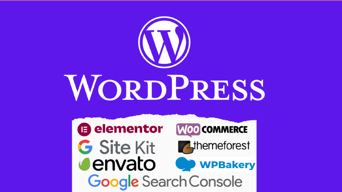  wordpress sitesi yapabilirim