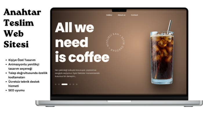 kafandaki web sitesini anahtar teslim hayata geçiririm