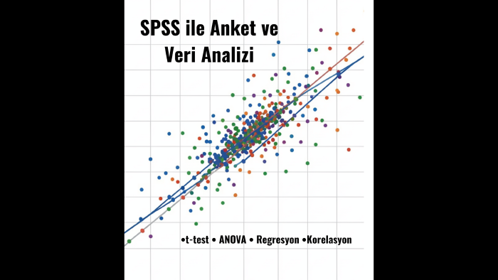 SPSS ile anket, tez ve istatistiksel veri analizi yapıyorum