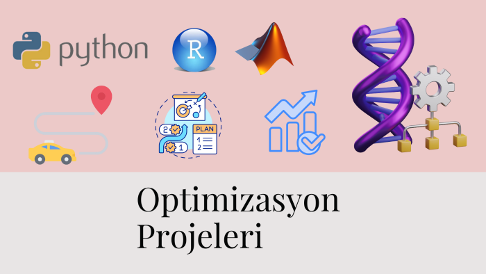 optimizasyon projelerinize yardım edebilirim
