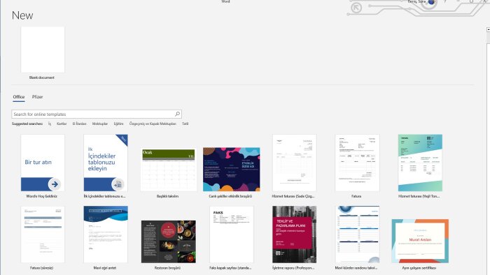 microsoft word konusundaki işleriniz yapabilirim