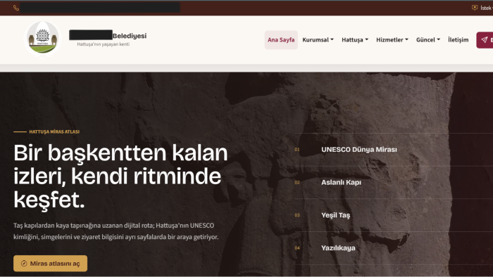 kişiye ve kuruma özel full stack web sitesi yapabilirim