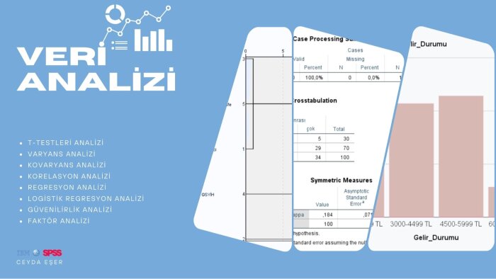 SPSS ile veri analizi yaparım