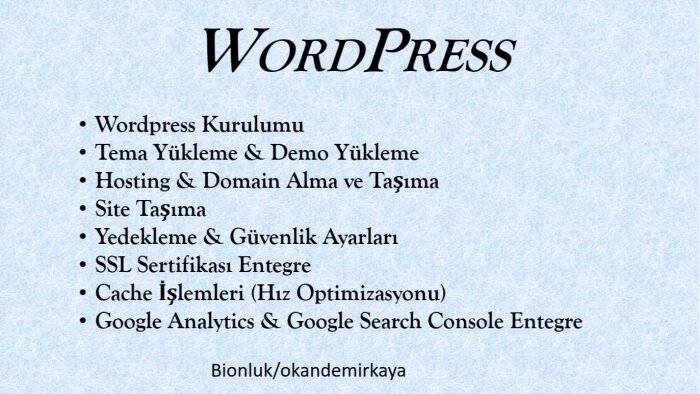 wordpress sitenize her türlü destek ve hizmeti verebilirim