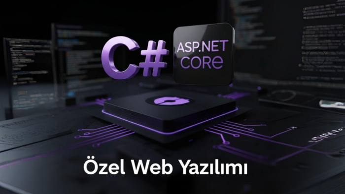 C# ve ASP NET ile özel güvenli ve hızlı web sitesi kodlarım