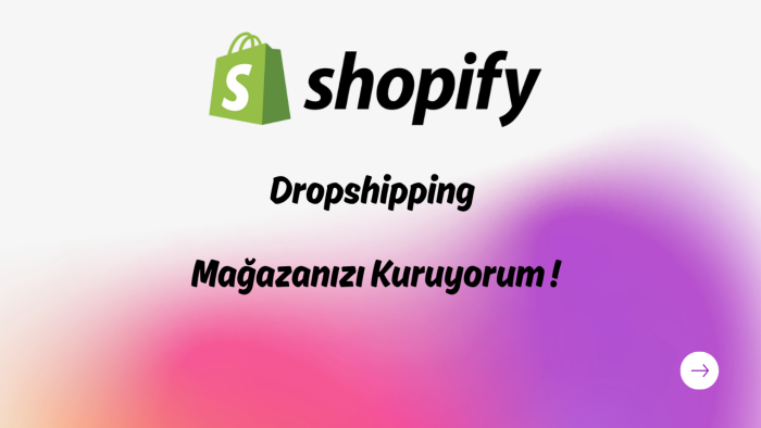 dönüşümü yüksek dropshopping mağazası kurarım