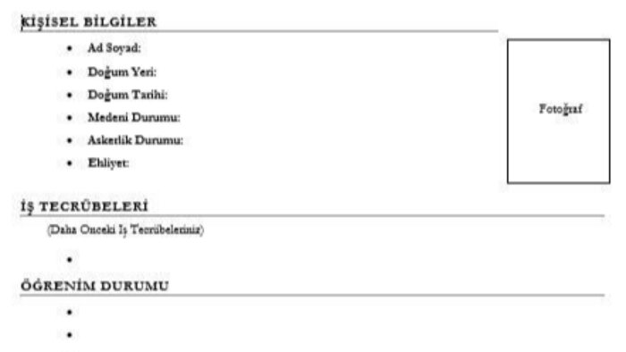 işe alım odaklı CV düzenlerim