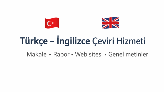 Türkçe-İngilizce metinlerinizi profesyonel şekilde çeviririm