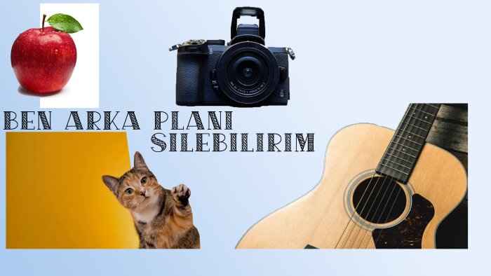 fotoğraflarınızın arkaplanını siliyorum