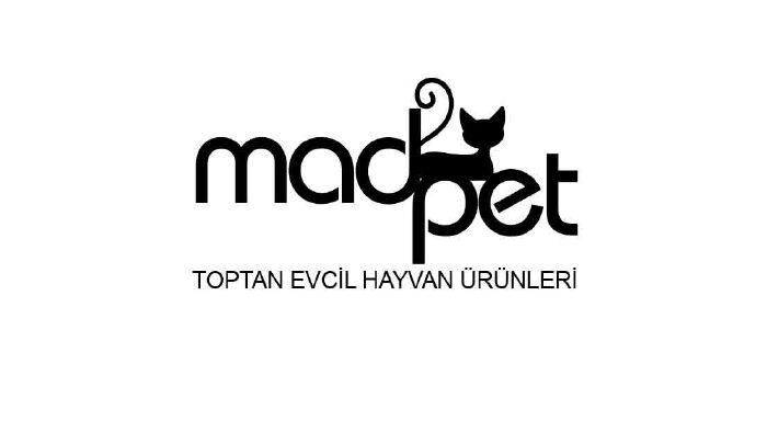 markan için özgün bir logo tasarlarım