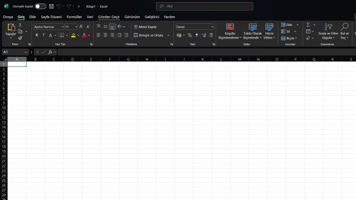 ihtiyacınıza özel profesyonel Excel dosyaları hazırlıyorum