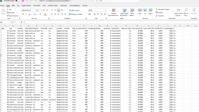 Excel'de veri analizi yapıp raporunu hazırlarım