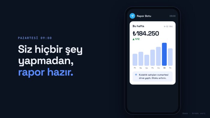 işletmeniz için özel yapay zekâ sistemleri kuruyorum