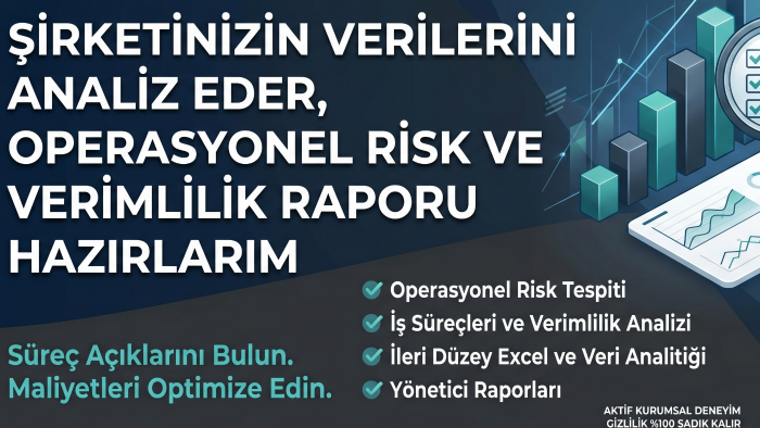 şirketinizin veri analizini ve risk matrislerini oluştururum