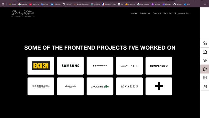profesyonel olarak web uygulamaları oluştururum
