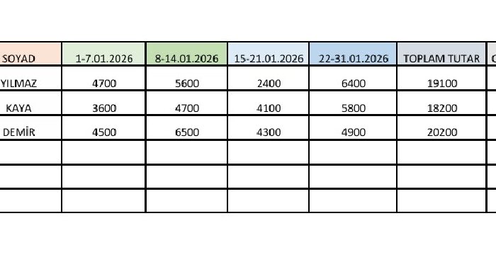 hızlı ve dikkatli veri girişi yapıyorum
