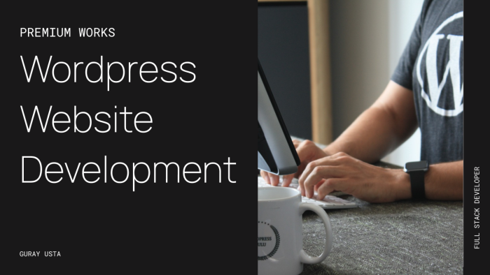 premium wordpress hizmeti veriyorum