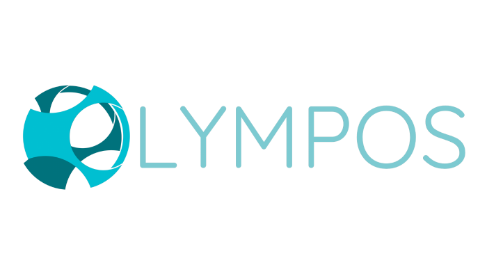 profesyonel logo tasarımı yapabilirim